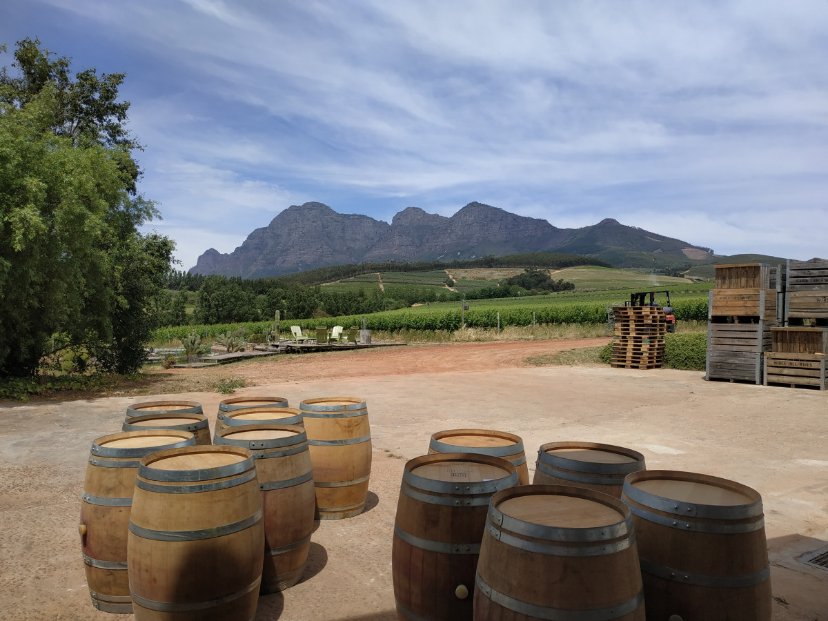 Vins d'Afrique du Sud
